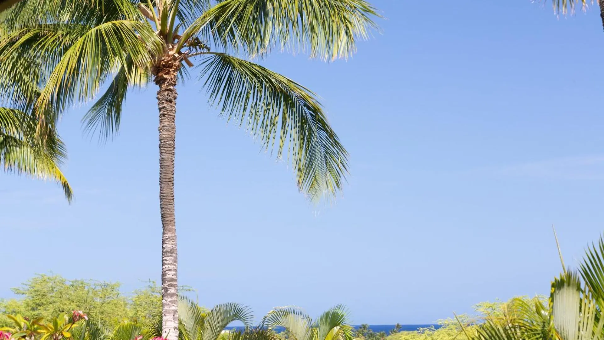Sea To Sky Stunning 3Br Villages Home With Three Master Suites Waikoloa