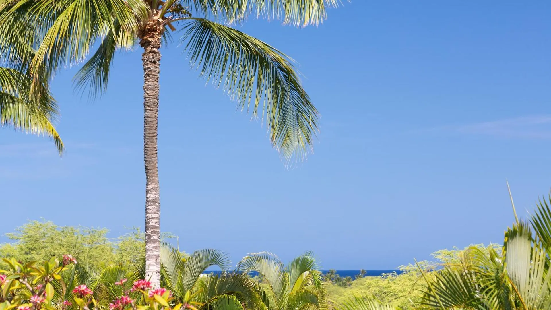 Sea To Sky Stunning 3Br Villages Home With Three Master Suites Waikoloa Сasa de vacaciones